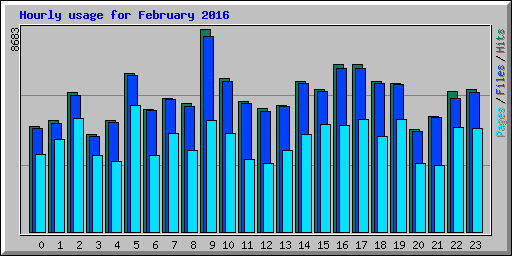 Hourly usage for February 2016