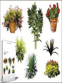 DOSCH DESIGN 2D Viz-Images Plants