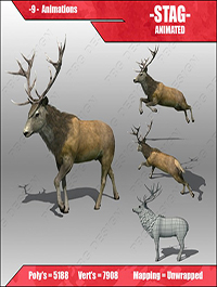 Stag Animated 3D model