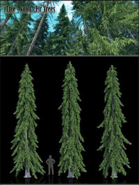 R&D Group iTrees vol 4 Fir Trees