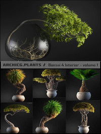 ArchiCG Plants Bonsai 4 Interior Volume 1