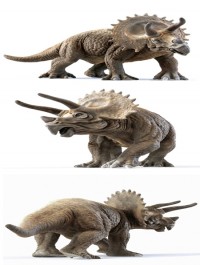 Best model of the week triceratops