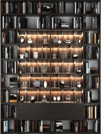 Bookcase Poliform