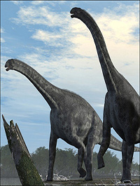 CetiosaurusDR by Dinoraul