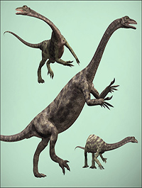AnchisaurusDR by Dinoraul