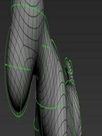 Form for 3ds Max 2011-12