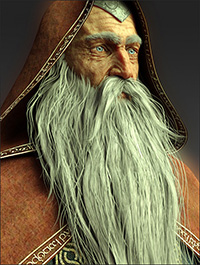 Wise Wizard Beard for Genesis 8 Male(s)