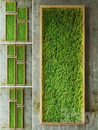 Moss walls