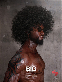 Big Afro Hair for Genesis 3 and 8