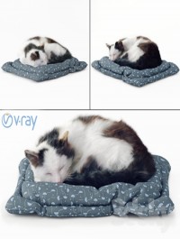 Best 3D Models of the Week Fluffy cat
