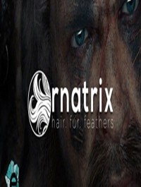 Ephere Ornatrix V.6.0.12 For 3Ds Max 2015-2019