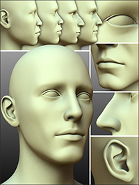 200 Plus - Head & Face Morphs for Genesis 3 Male(s)