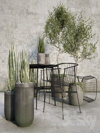 Outdoor plant set