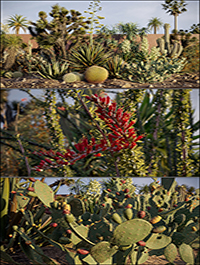 Maxtree Plant Models Vol 17