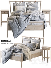 Bed BJORKSNAS Ikea / Ikea