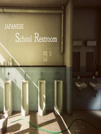 Japanese School Restroom