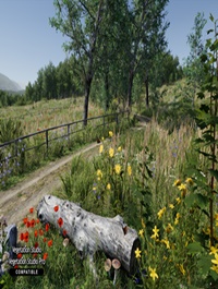 Meadow Environment Dynamic Nature