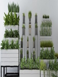 Modern potted plants 26 3D model