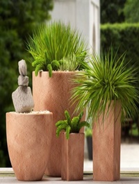 Modern potted plants 32 3D model