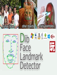 Dlib FaceLandmark Detector