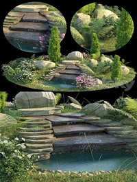 Alpine hill
