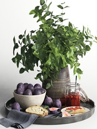 Fruit plant decoration set