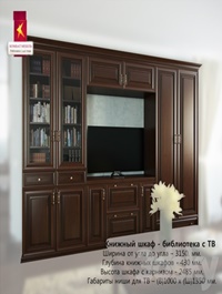 Combat Bookcase library with TV