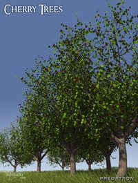 Predatron Cherry Trees