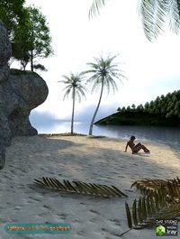 The Beach