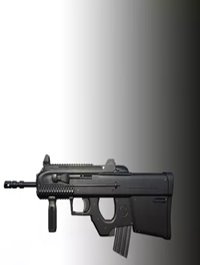 FN2000
