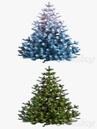 Christmas, Tree