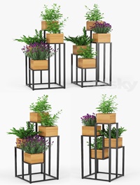 Quadrant plant stand