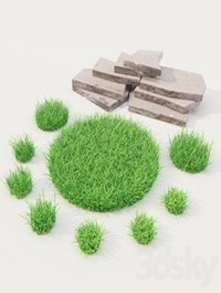Lawn grass with stones