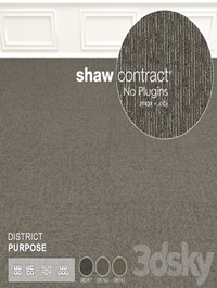 Shaw Carpet District Purpose Wall to Wall Floor No 1