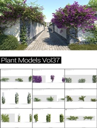 MAXTREE Plant Models Vol 37