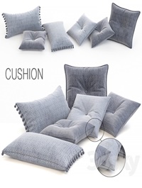 Cushion