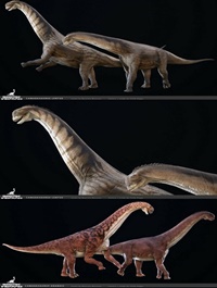 Camarasaurus 3D model