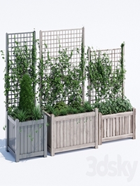 Square trellis