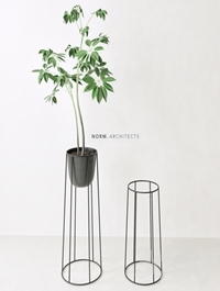 Plant ficus (Norm architects)