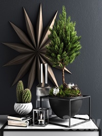 Decor set with pine tree