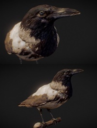 The Crow – Scanned 3D Model