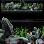 Aquarium with Fishes 3D Model for 3ds Max