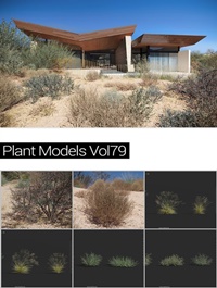 MAXTREE Plant Models Vol 79