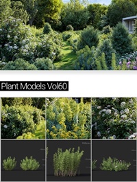 MAXTREE Plant Models Vol 60