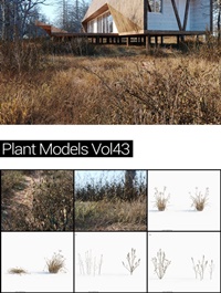 MAXTREE Plant Models Vol 43