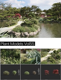 MAXTREE Plant Models Vol 55
