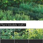 MAXTREE Plant Models Vol 57