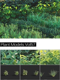 MAXTREE Plant Models Vol 57