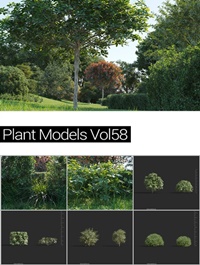MAXTREE Plant Models Vol 58