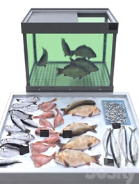 Fish store